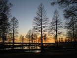 Lake Phelps - Pettigrew State Park