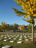 Old Salem Moravian Cemetery - Winston-Salem