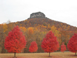 Pilot Mountain