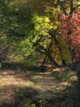 Reynolda Gardens - Winston-Salem