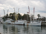 Shrimp boats, Sneads Ferry